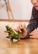 Schleich, Eldrador Creatures, Swamp Monster, Crocodile, статуэтка, 70155 7416552 фото 4