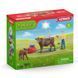 Schleich, Farm World, Happy Cors Wash, Set, 42529 7100244 фото 1